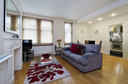 Premium Marylebone Serviced 2 Bedroom Apartment - Luxury touches