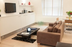 Artillery Lane Serviced Apartments - Plush lounge