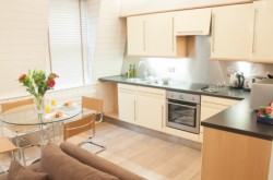 Artillery Lane Serviced Apartments - State of the art kitchen