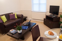 Richmond Manning 2 Bedroom Serviced Apartments - Contemporary Lounge