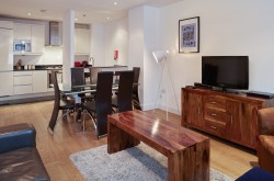 Vauxhall 2 bedroom serviced apartment - Spacious lounge