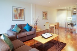 Waterloo Serviced 2 Bedroom Apartment - Contemporary lounge