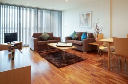 Waterloo Serviced 2 Bedroom Apartment - Contemporary lounge