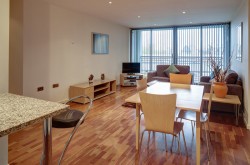 Waterloo Serviced 2 Bedroom Apartment - Contemporary lounge