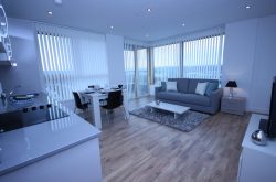 City Tower Reading Modern 1 Bedroom