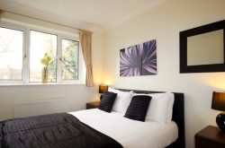 Gray Place 2 Bedroom - Contemporary bedroom