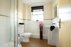 Contemporary bathroom